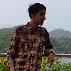 Anas Khan-Freelancer in Ujjain,India