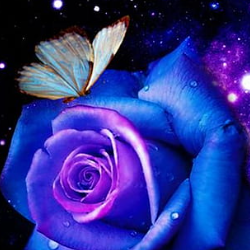 Qandeel Iqbal-Freelancer in Bahawalpur,Pakistan