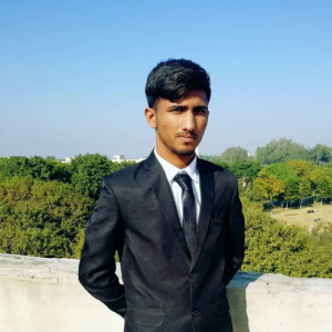 Engineer Muhammad Zaki-Freelancer in Gujrat,Pakistan