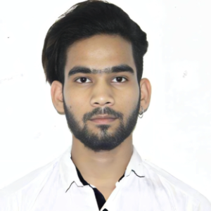 Ravi Ranjan Kumar-Freelancer in New Delhi,India