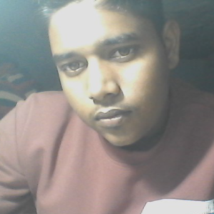 Naresh Pali-Freelancer in Mathura,India