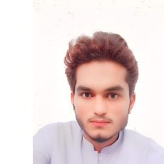 Ali Hamza-Freelancer in Jahanian,Pakistan