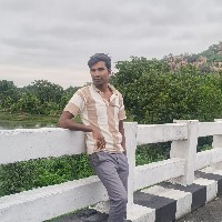 Surendra Nishad-Freelancer in Raipur Division,India