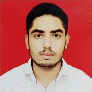 Ankit Surelia-Freelancer in Delhi,India