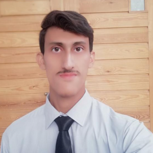 Malik Muzamil-Freelancer in Bahawal Nagar,Pakistan