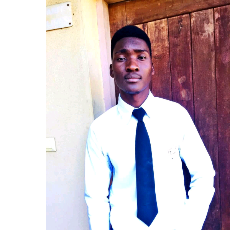 Patricio Domingos Bocosse Piquita-Freelancer in Tete,Mozambique