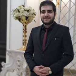 Behrad Peikani-Freelancer in ,UAE