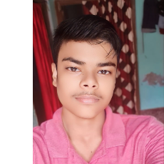 Ankit Kumar Ray-Freelancer in Kochas,Rohtas,Bihar,India
