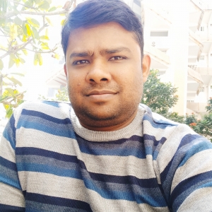 Dharmendra Mittal-Freelancer in Pune,India