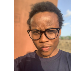 Goodness Adebayo-Freelancer in Lagos,Nigeria