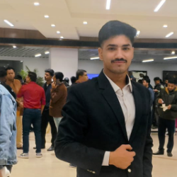 Ankit Pathak-Freelancer in Doxks,India