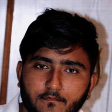 Senma Dharmik-Freelancer in Visnagar,India