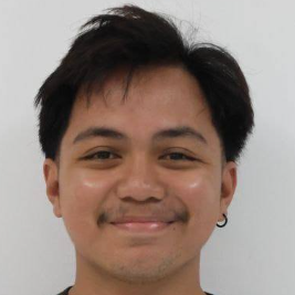 Michael Jhon Algo-Freelancer in Pilar,Philippines