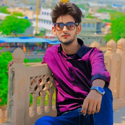 Mr Salman-Freelancer in Deeg,India