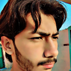 Zaghaim Malik-Freelancer in Lahore,Pakistan