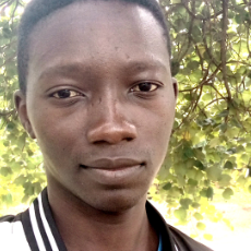 Stain Sukwambe-Freelancer in Lilongwe,Malawi