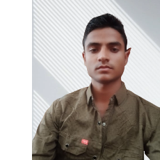 Dushyant Singh-Freelancer in Kherli,India