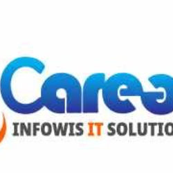 Career Infowis It Solution.Pvt.Ltd-Freelancer in Sahibzada Ajit Singh Nagar,India