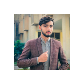 Talha Qazafi-Freelancer in Chowk Azam,Pakistan