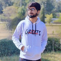 Ali Naqvi-Freelancer in Dera Ismail Khan,Pakistan