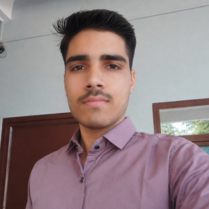 Mayank Yadav-Freelancer in Behror,India