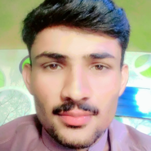 Nawaz Alvi-Freelancer in Renala Khurd,Pakistan