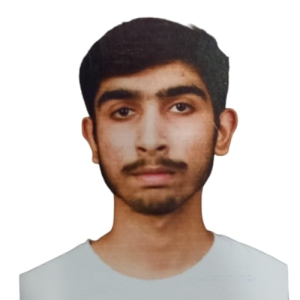 Rajat Raj-Freelancer in Agra,India
