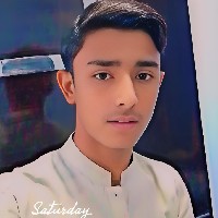 Sarim Bhai Jan-Freelancer in RahimYar Khan,Pakistan