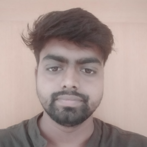 Bishal Kumar-Freelancer in Hyderabad,India