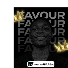 Favour Opara-Freelancer in Ifo,Nigeria