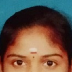 Vasanthi C-Freelancer in Chennai,India