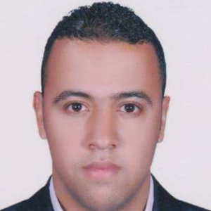 Ahmed Bebo-Freelancer in Cairo,Egypt