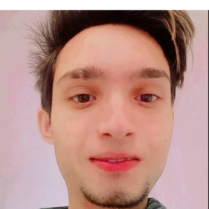 Syed Ali Hassan Shah-Freelancer in Rawalpindi,Pakistan