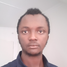 Musa Ziriba-Freelancer in Bergen,Norway