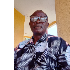 TheAmazon-Freelancer in Lagos,Nigeria