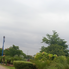 Sajal Mubarak-Freelancer in Sahiwal,Pakistan
