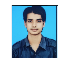 Hammad-Freelancer in Chakradharpur,India