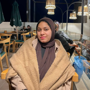 Logine Mohamed-Freelancer in Alexandria,Egypt