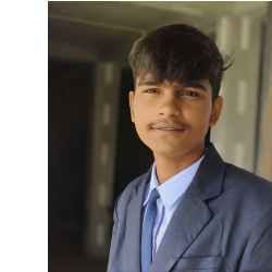 Sandeep Nayak-Freelancer in Raipur,India
