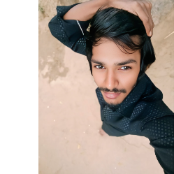 Dharmendra Parmar-Freelancer in Karoli,India