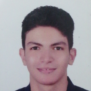 Eyad Elfeky-Freelancer in Cairo,Egypt