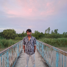 Himanshu Dubey-Freelancer in Bara Huwan,India
