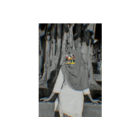 Tabassum Parvin-Freelancer in Baikunthapur,India