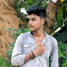 Surajit Pal-Freelancer in Kandi,India