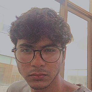 Malik Haris Ali-Freelancer in Prayagraj,India