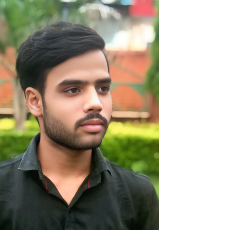 Vishal Singh Parihar-Freelancer in Jhansi,India