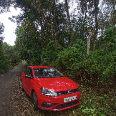 Sherin Varghese-Freelancer in Vettiyar,India