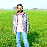 Zaffar Iqbal-Freelancer in Multan,Pakistan