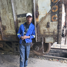 Tinotenda Dhiyo-Freelancer in Bulawayo,Zimbabwe