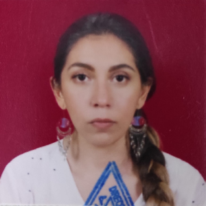 María Fernanda Soto Villegas-Freelancer in La Paz,Bolivia